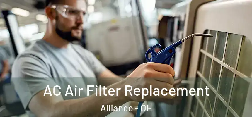 AC Air Filter Replacement Alliance - OH