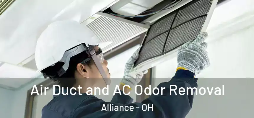  Air Duct and AC Odor Removal Alliance - OH