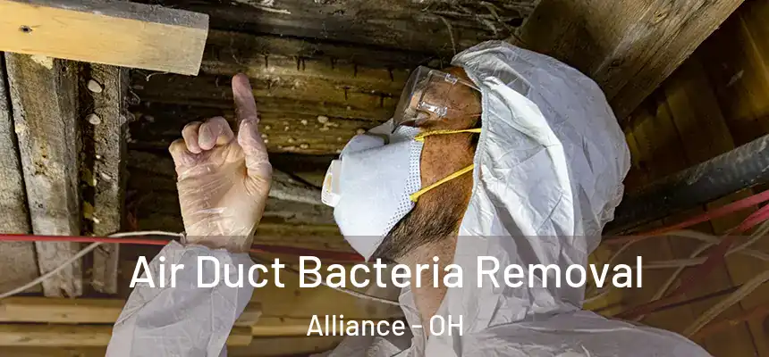  Air Duct Bacteria Removal Alliance - OH