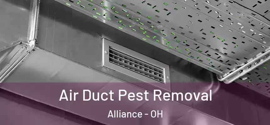  Air Duct Pest Removal Alliance - OH