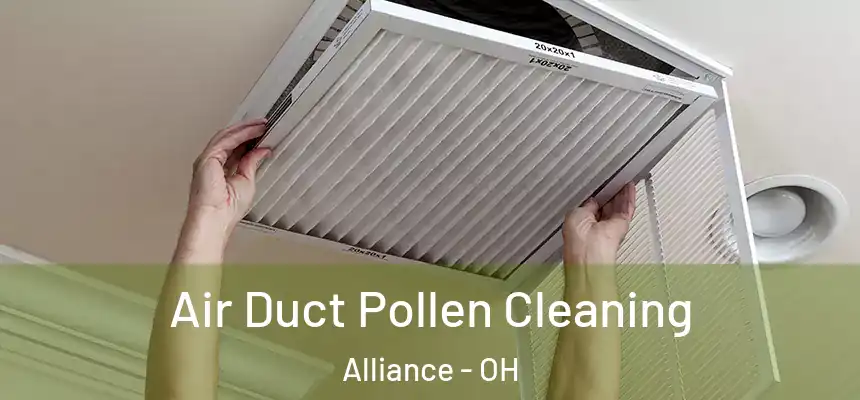  Air Duct Pollen Cleaning Alliance - OH