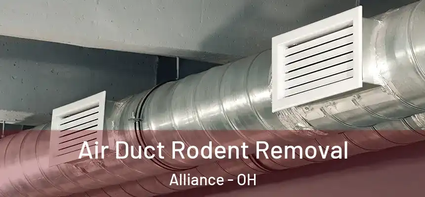  Air Duct Rodent Removal Alliance - OH