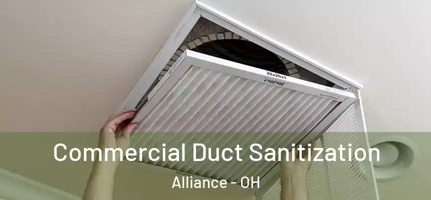  Commercial Duct Sanitization Alliance - OH