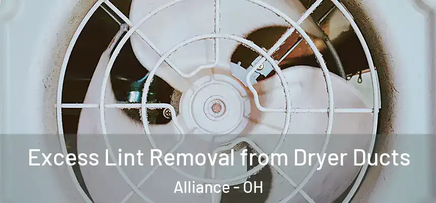  Excess Lint Removal from Dryer Ducts Alliance - OH