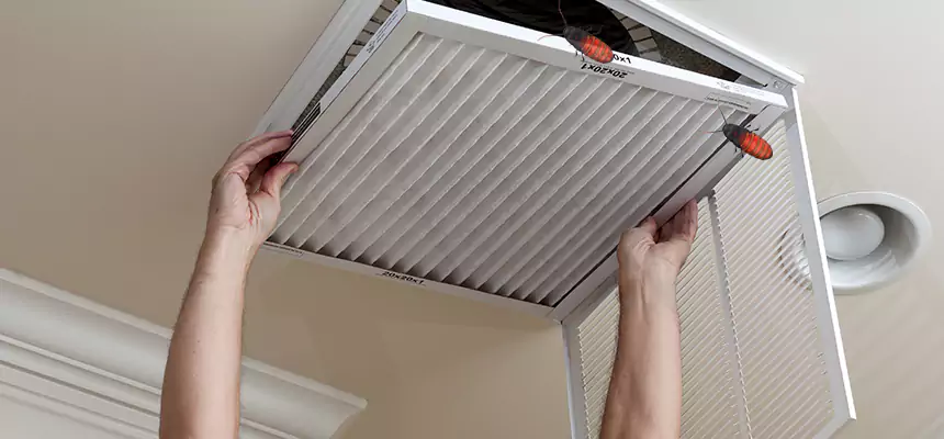 Preventive Cockroach-Proofing for Ducts in Alliance