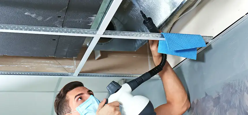Our Air Duct Rodent Removal Services in Alliance, OH