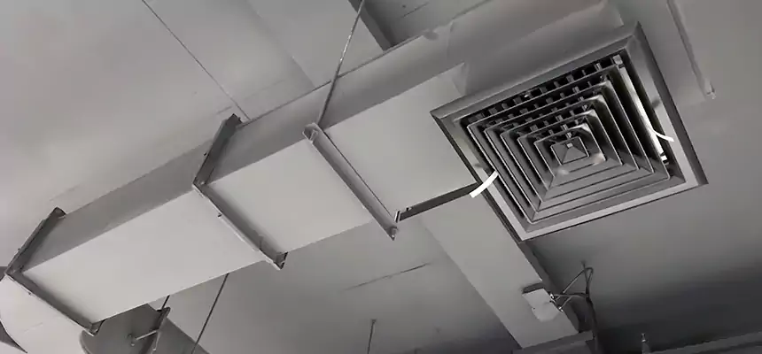 Restorative Allergy Relief Vent Cleaning – Coil, Blower & Housing Detail in Alliance