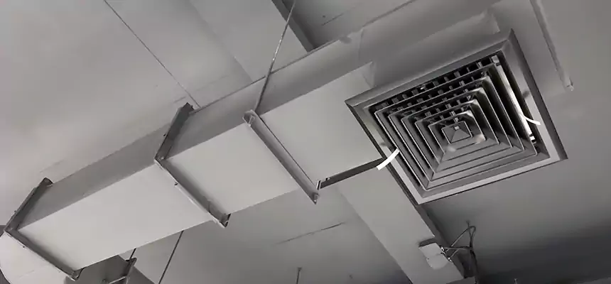 Our Pest Removal From Ducts Services in Alliance, OH