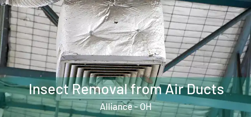  Insect Removal from Air Ducts Alliance - OH