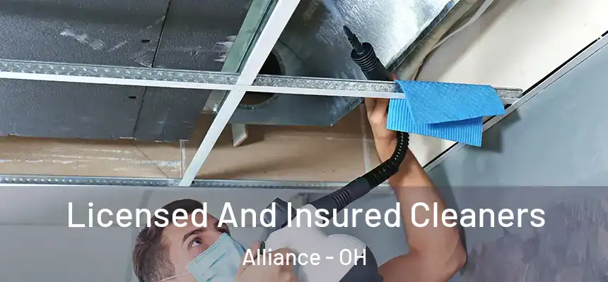  Licensed And Insured Cleaners Alliance - OH