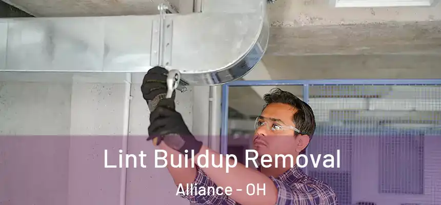  Lint Buildup Removal Alliance - OH