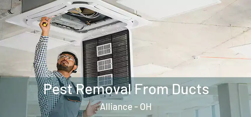  Pest Removal From Ducts Alliance - OH