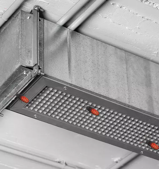 About Air Duct Cockroach Removal in Alliance, OH