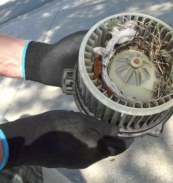 About Air Duct Rat Removal in Alliance, OH