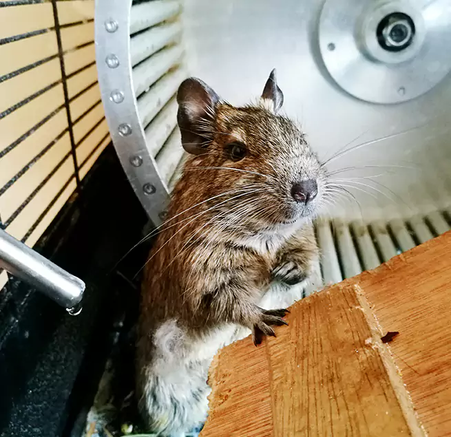 Why Homeowners & Businesses Trust Us Alliance, OH